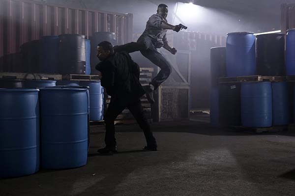 Falcon Rising (2014)