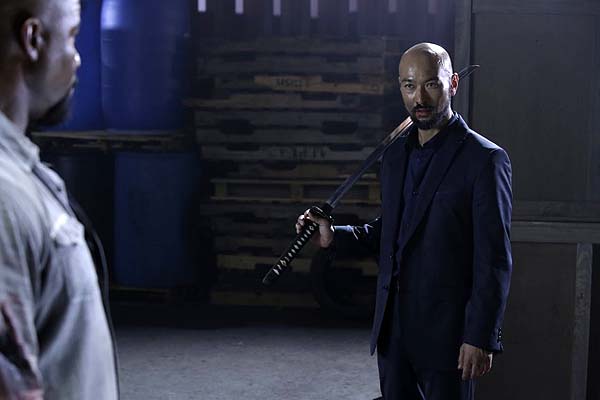 Falcon Rising (2014)