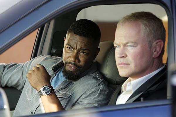 Falcon Rising (2014)