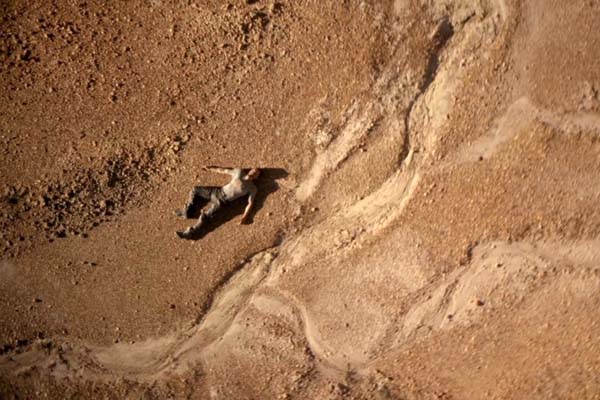 Dan Mor dans Explorer (2016)