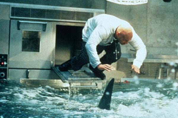 LL Cool J dans Peur Bleue (1999)