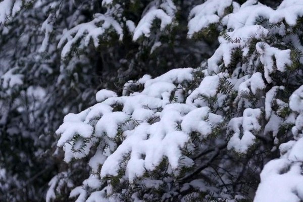 Edge of Winter (2016)