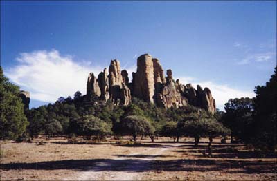 Sierra de Organos