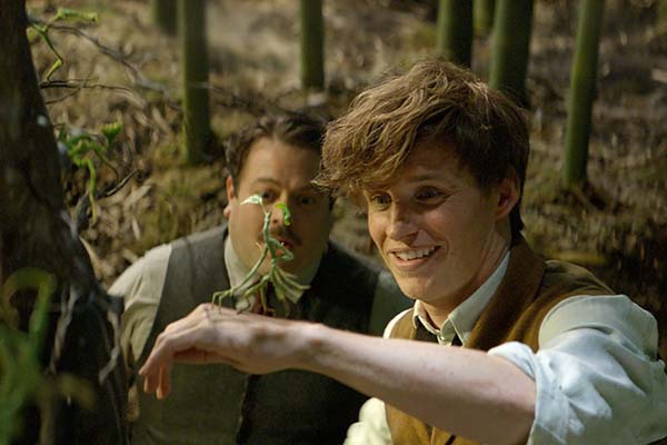 Dan Fogler et Eddie Redmayne dans Les animaux fantastiques (2016)