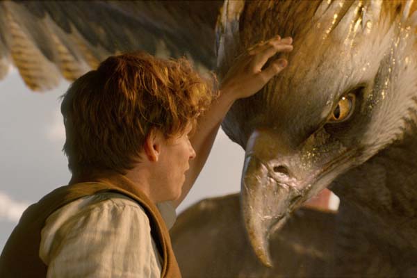 Eddie Redmayne dans Les animaux fantastiques (2016)