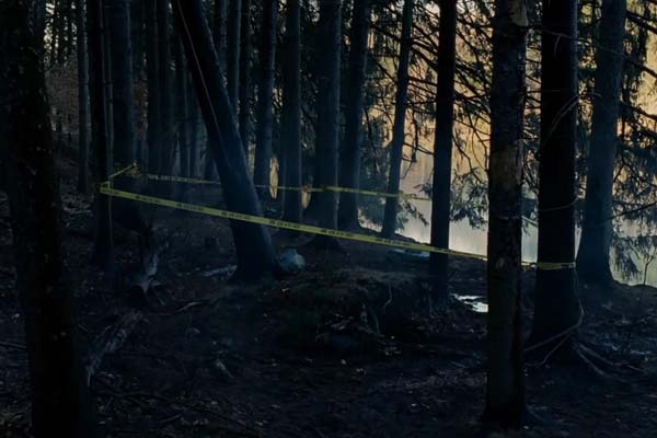 La fille du train (2016)