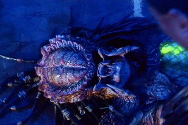 Kevin Peter Hall dans Predator 2 (1990)