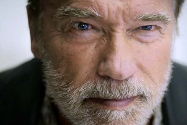 Arnold Schwarzenegger dans Aftermath (2017)