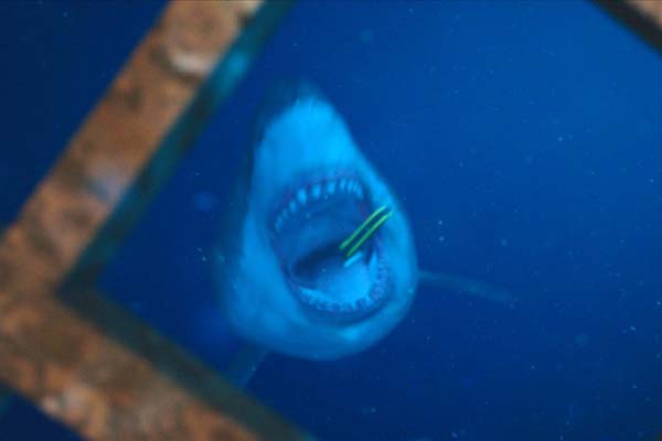47 Meters Down (2017)