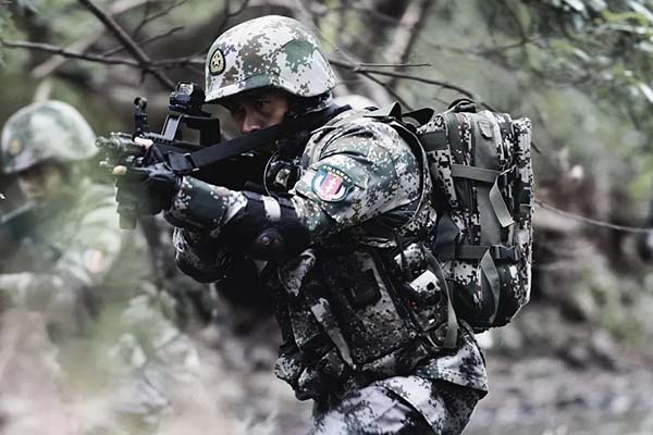 Wolf Warriors (2015)