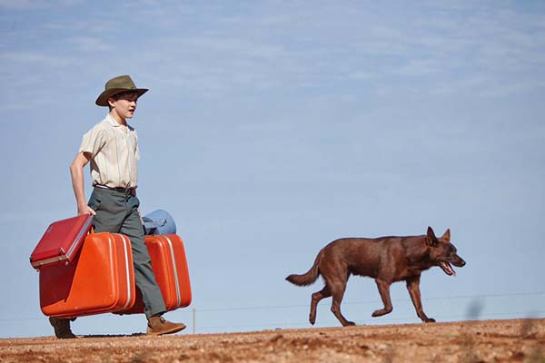 Levi Miller dans Red Dog: True Blue (2016)