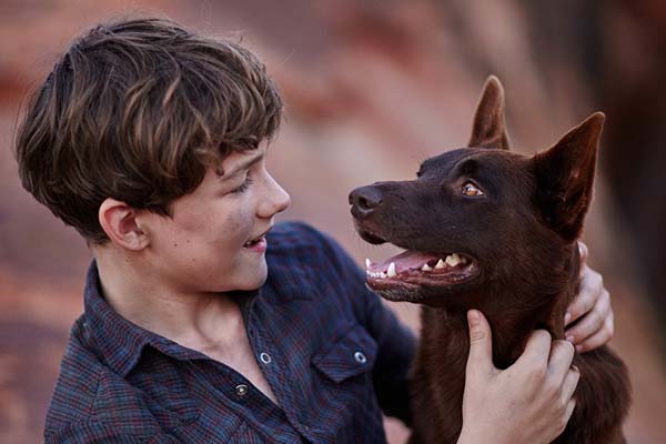 Levi Miller dans Red Dog: True Blue (2016)