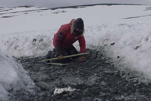Mads Mikkelsen dans Arctic (2018)