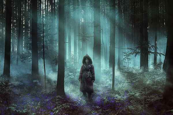 Ashin Of The North (2021)