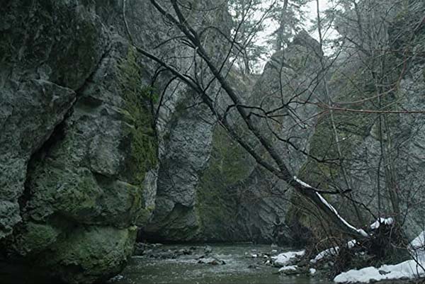 Daughter of the Wolf (2019)