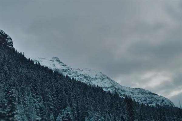 Last Survivors (2021)