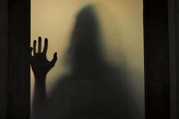 The Night House (2021)